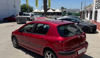 PEUGEOT 307 lleno