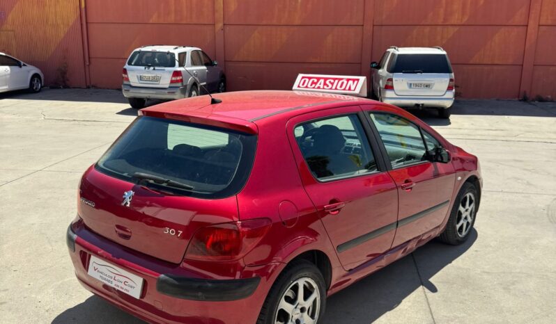 PEUGEOT 307 lleno