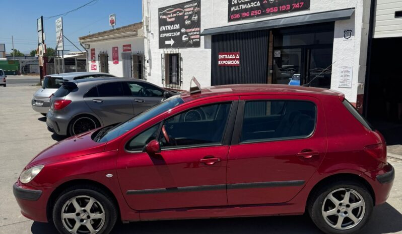 PEUGEOT 307 lleno