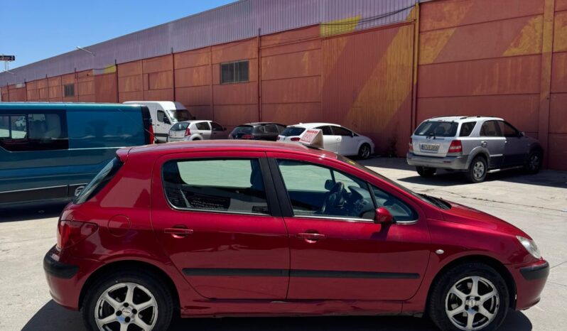 PEUGEOT 307 lleno