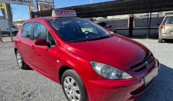 PEUGEOT 307 lleno