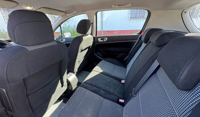 PEUGEOT 307 lleno