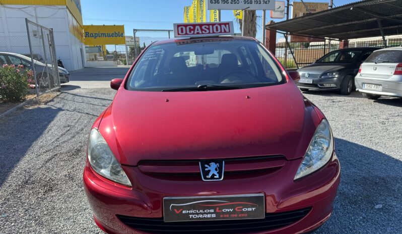 PEUGEOT 307 lleno